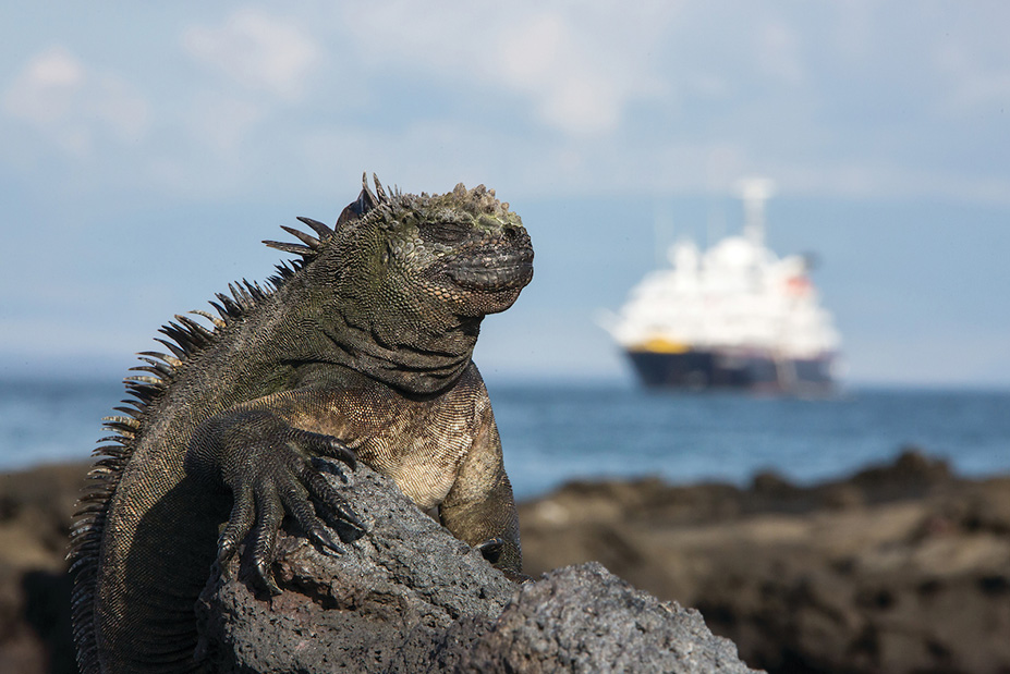 Silver Origin by Silversea Cruises